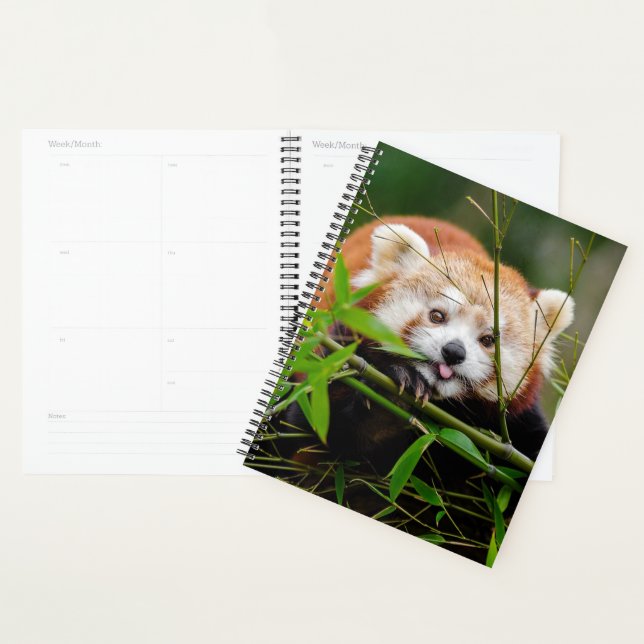 Red Panda Bear Planer (Anzeige)