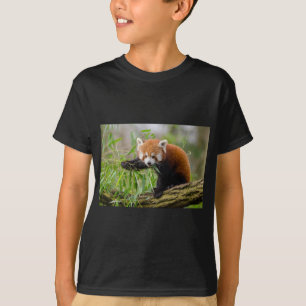 Red Panda Eating Green Leaf T-Shirt