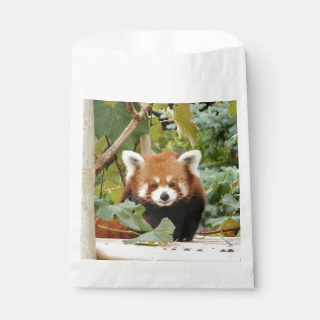 Red Panda Geschenktütchen (Vorderseite)