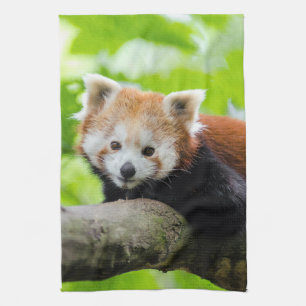 Red Panda Geschirrtuch