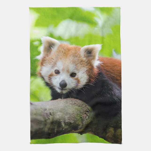 Red Panda Geschirrtuch (Vertikal)