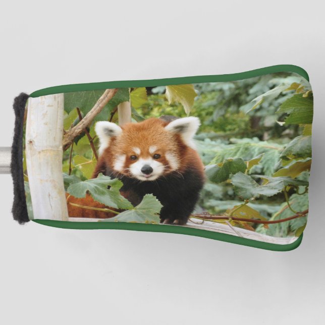 Red Panda Golf Headcover (Vorderseite)