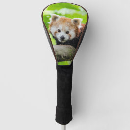 Red Panda Golf Headcover