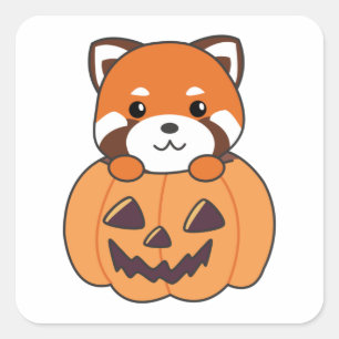 Red Panda in Pumpkin Niedlich Pandas Happy Hallowe Quadratischer Aufkleber