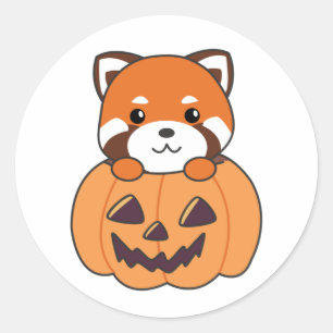 Red Panda in Pumpkin Niedlich Pandas Happy Hallowe Runder Aufkleber