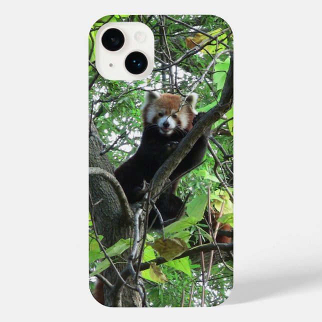 Red Panda iPhone Case iPhone 14 Plus Hülle (Rückseite)