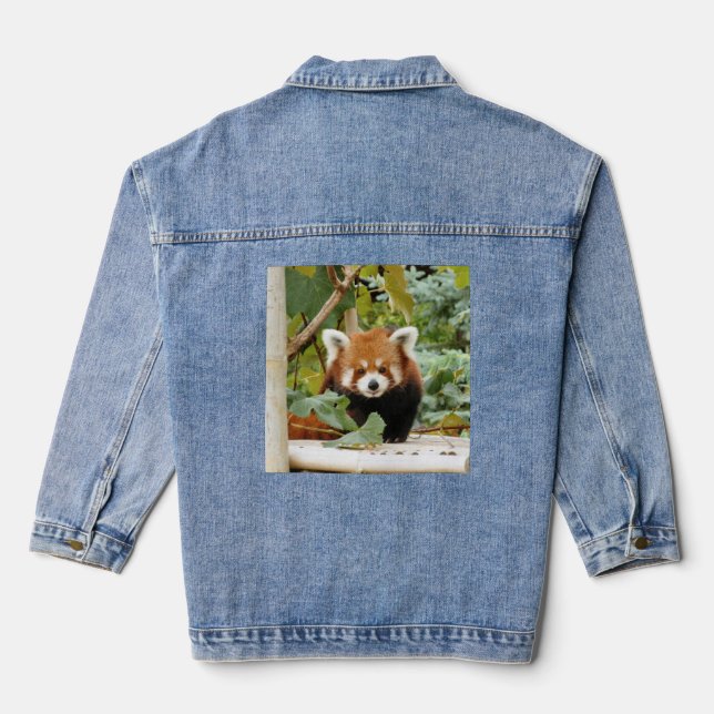 Red Panda Jeansjacke (Rückseite)