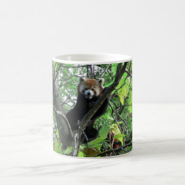 Red Panda Kaffeetasse