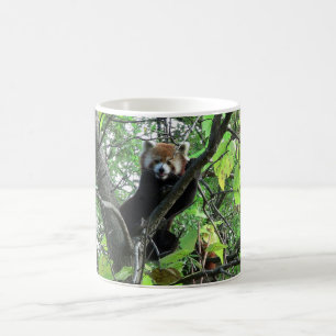 Red Panda Kaffeetasse