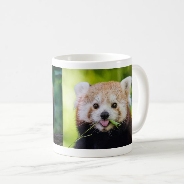 Red Panda Kaffeetasse (VorderseiteRechts)