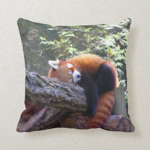 Red Panda Kissen