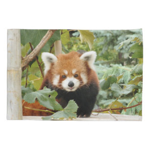 Red Panda Kissenbezug
