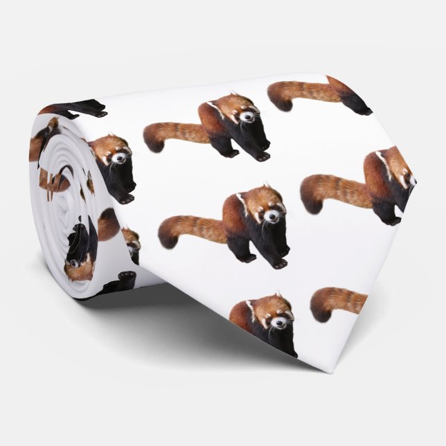 Red Panda Krawatte (Gerollt)