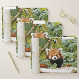 Red Panda Papiermappe