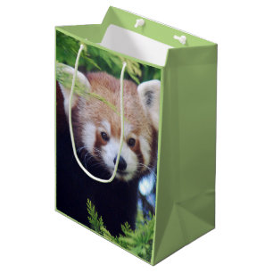 Red Panda Pattern Mittlere Geschenktüte