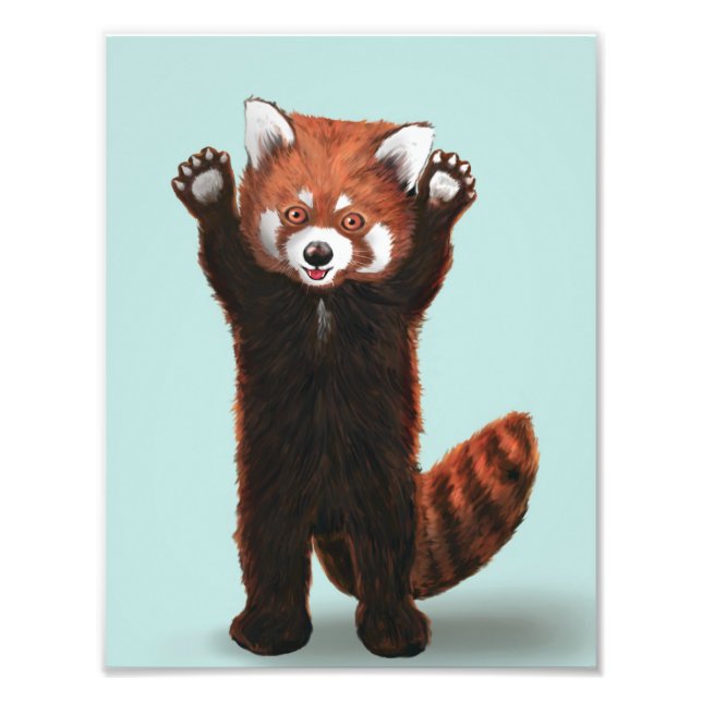 Red Panda Print Fotodruck (Vorne)