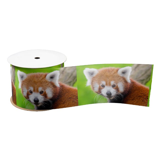 Red Panda Satinband (Spule)