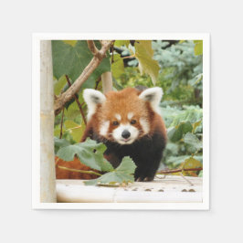 Red Panda Serviette