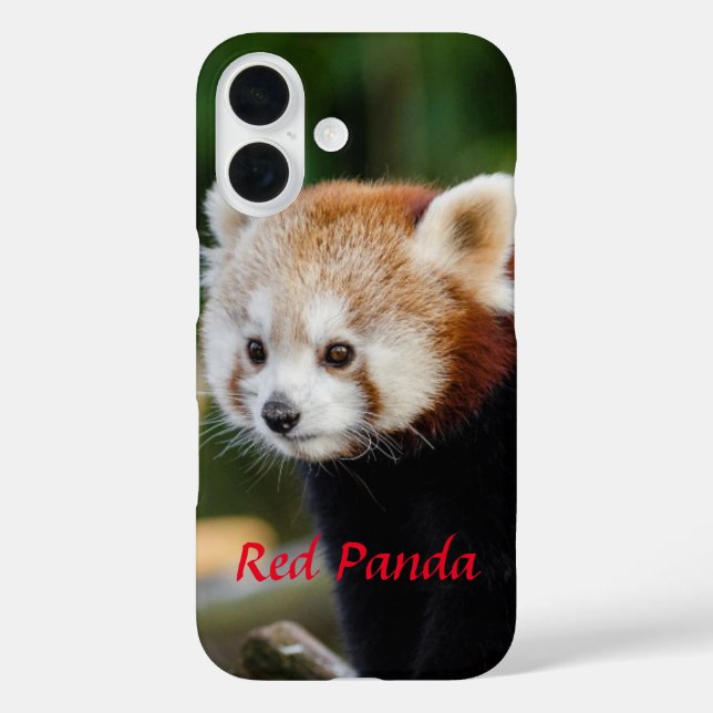 Red Panda Snowy Log Picture iPhone 16 Hülle (Rückseite)