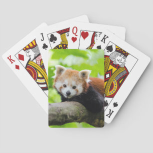 Red Panda Spielkarten