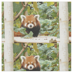 Red Panda Stoff