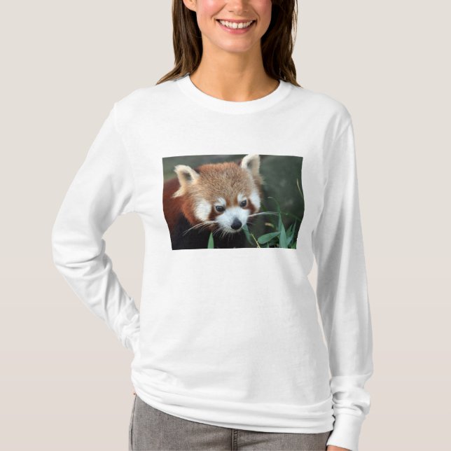 Red Panda, Taronga Zoo, Sydney, Australien T-Shirt (Vorderseite)