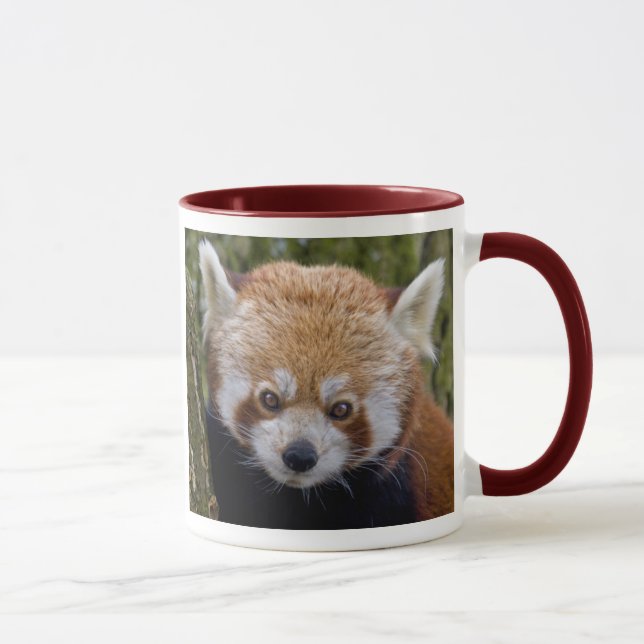 Red Panda Tasse (Rechts)