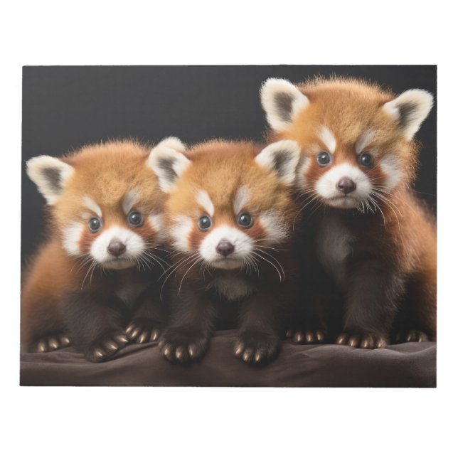 Red Panda Wild Animal Portrait Nature Beauty Notizblock (Vorderseite)
