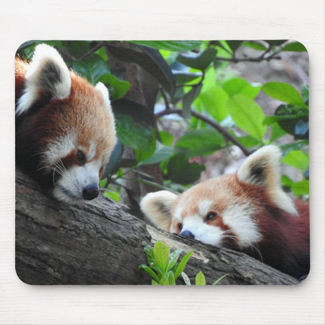 Red Pandas Mousepad (Vorne)