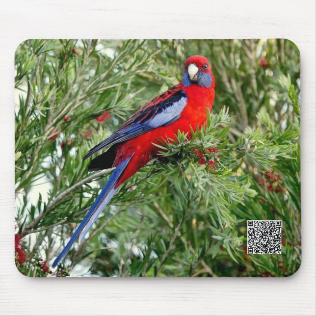 Red Parrot Mousepad (Vorne)