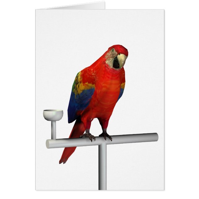Red Parrot Scarlet Macaw (Vorne)