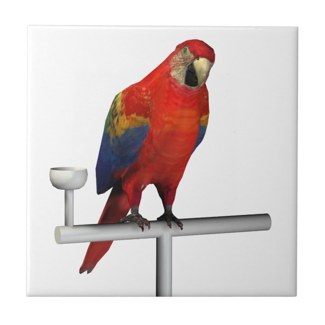 Red Parrot Scarlet Macaw Fliese (Vorderseite)
