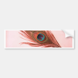 Red Peacock Feather Autoaufkleber