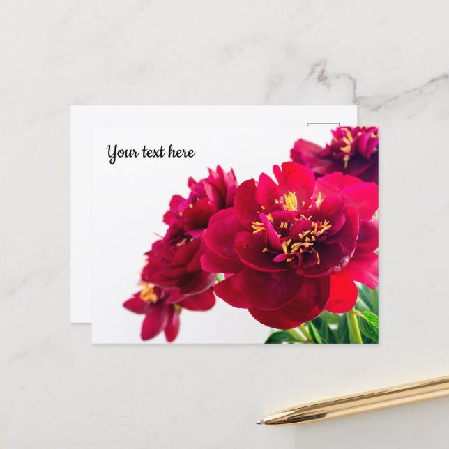 Red Peony Postcard Postkarte (Vorderseite/Rückseite Beispiel)