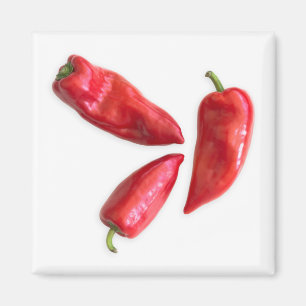 Red Pepper Magnet