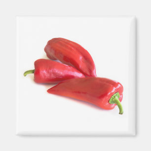 Red Pepper Magnet