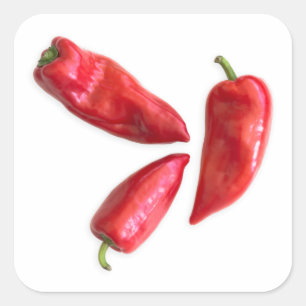 Red Pepper Quadratischer Aufkleber