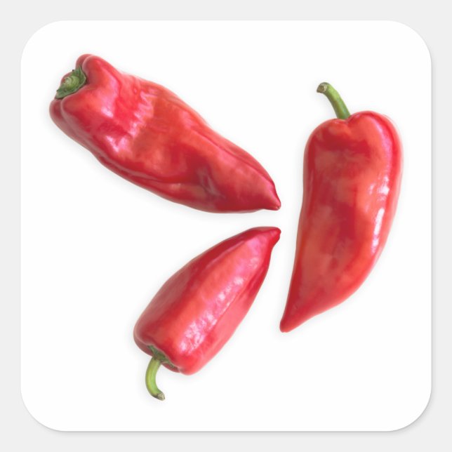 Red Pepper Quadratischer Aufkleber (Vorderseite)