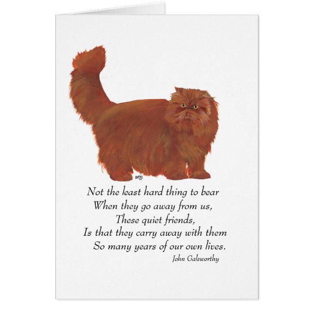 Red Persian Cat Rainbow Bridge (Vorne)