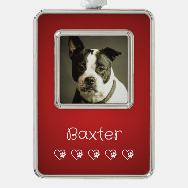 Red Pet Photo Ornament - Custom Photo Rahmen-Ornament Silber (Vorderseite)
