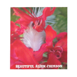 Red Petal Feather Art Print Notizblock