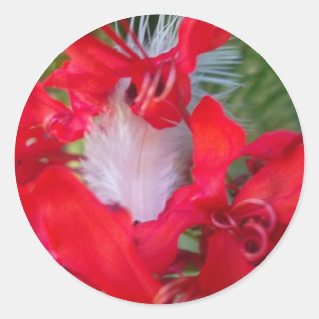 Red Petal Feather Art Print Runder Aufkleber (Vorderseite)
