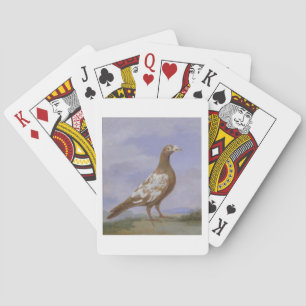 Red Pied Carrier Pigeon (oil on canvas) Spielkarten