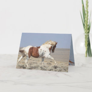 Red Pinto Stallion springt Wild Horse Grußkarte Karte