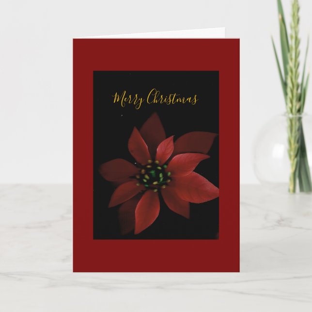 Red Poinsettia Merry Christmas  Karte (Vorderseite)