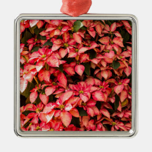 Red Poinsettia Weihnachtsfeier Blume Ornament Aus Metall