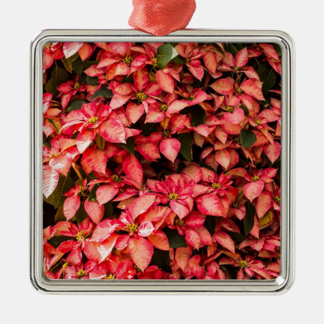 Red Poinsettia Weihnachtsfeier Blume Ornament Aus Metall (Vorne)