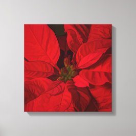 Red Poinsettia Weihnachtsfeiertage Leinwanddruck