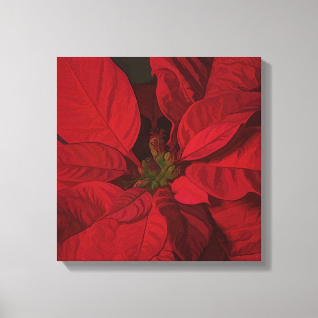 Red Poinsettia Weihnachtsfeiertage Leinwanddruck (Vorderseite)