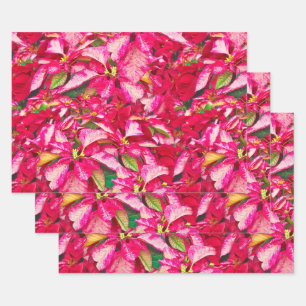 Red Poinsettias Christmas Floral Fotografie Geschenkpapier Set